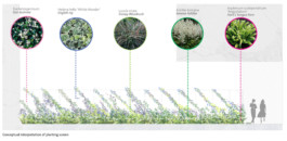  BD Landscape Architects | Landscape Architecture | Urban Design | Space-Making