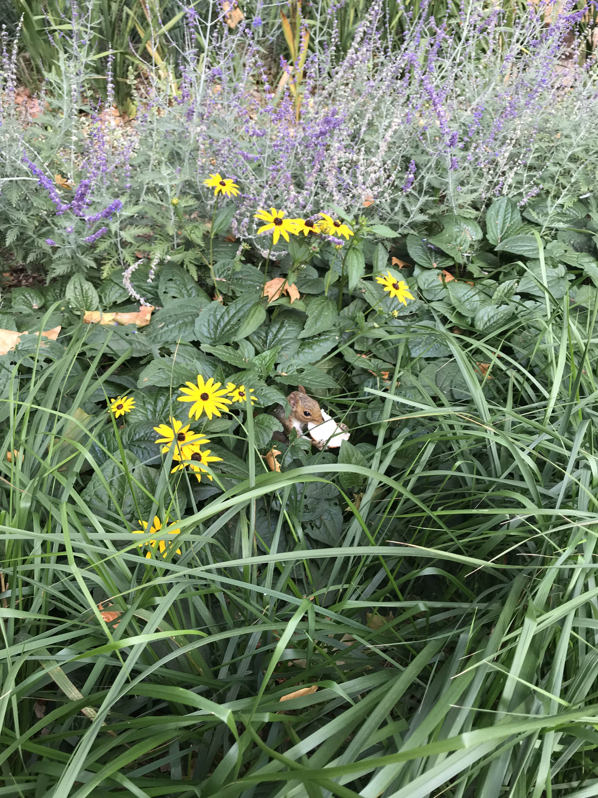  BD Landscape Architects | Landscape Architecture | Urban Design | Space-Making