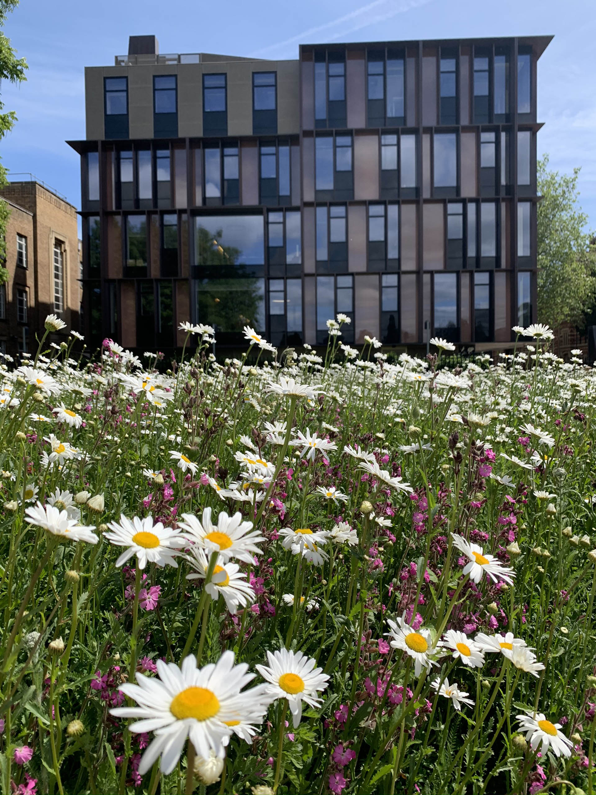  BD Landscape Architects | Landscape Architecture | Urban Design | Space-Making