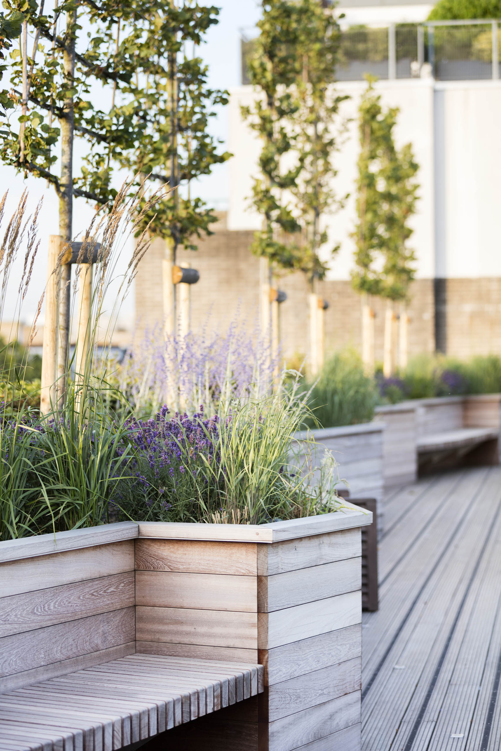  BD Landscape Architects | Landscape Architecture | Urban Design | Space-Making