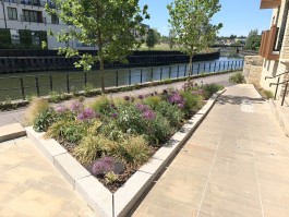  BD Landscape Architects | Landscape Architecture | Urban Design | Space-Making