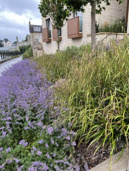  BD Landscape Architects | Landscape Architecture | Urban Design | Space-Making