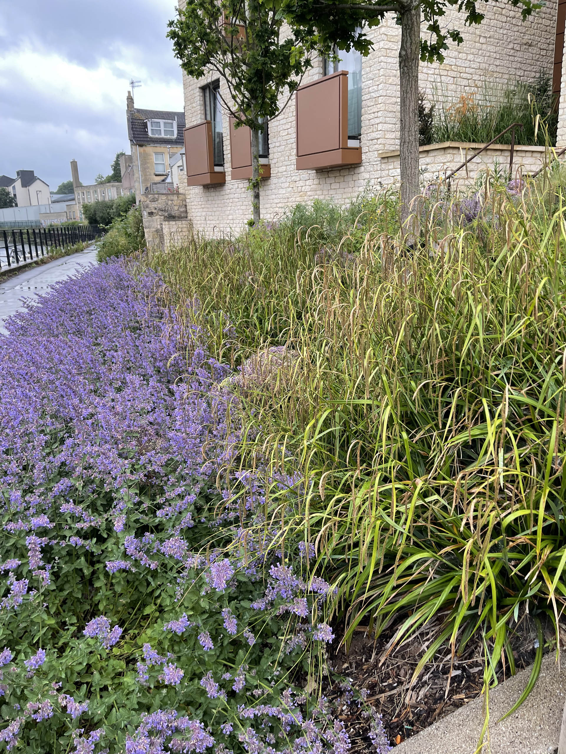 BD Landscape Architects | Landscape Architecture | Urban Design | Space-Making