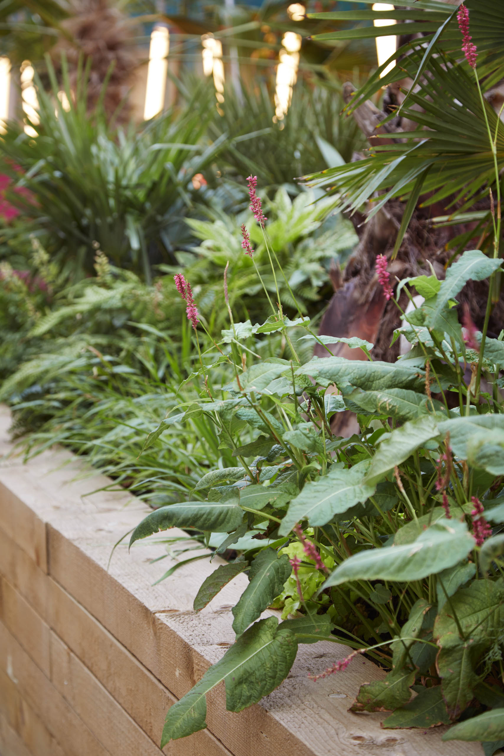 BD Landscape Architects | Landscape Architecture | Urban Design | Space-Making