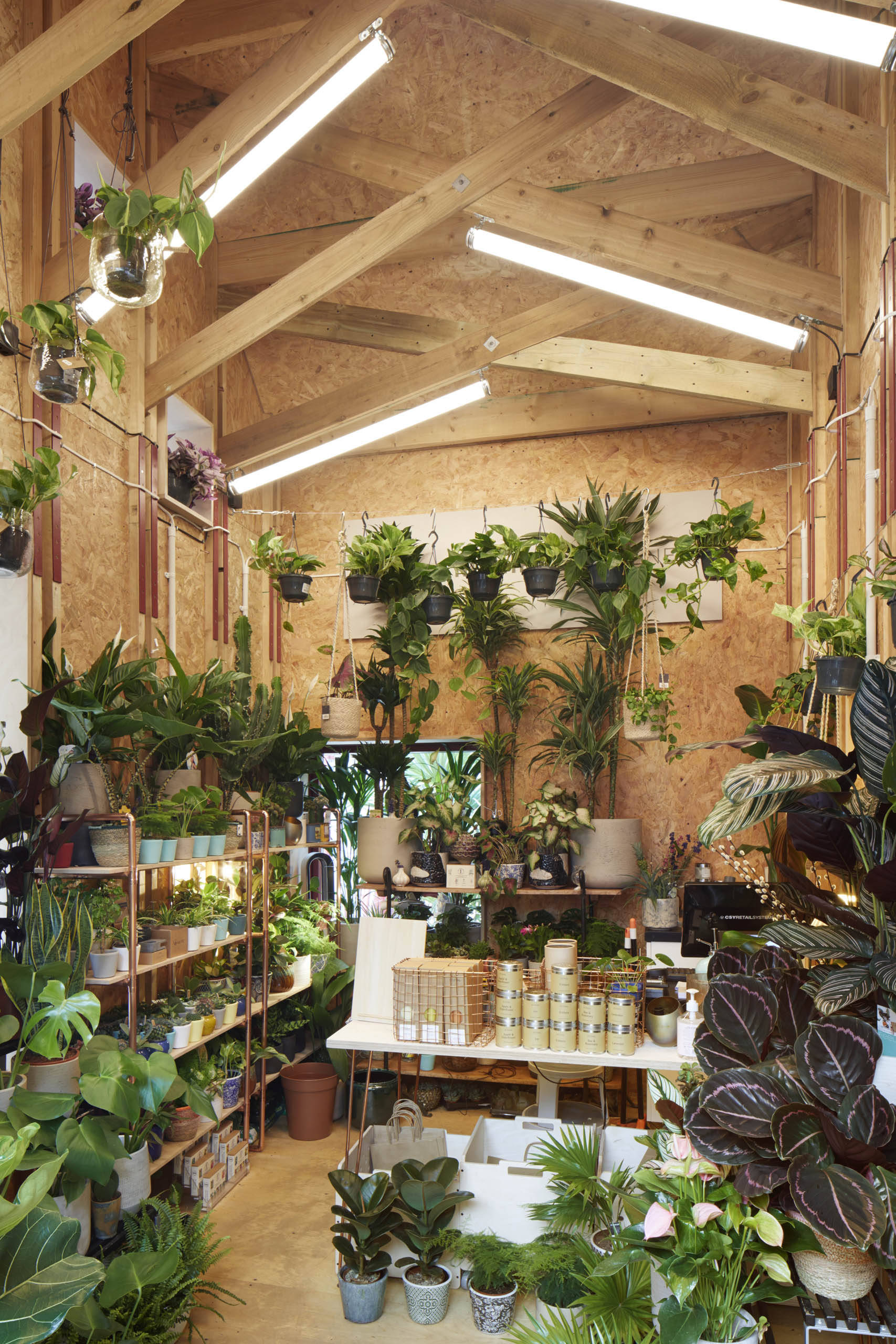 BD Landscape Architects | Landscape Architecture | Urban Design | Space-Making