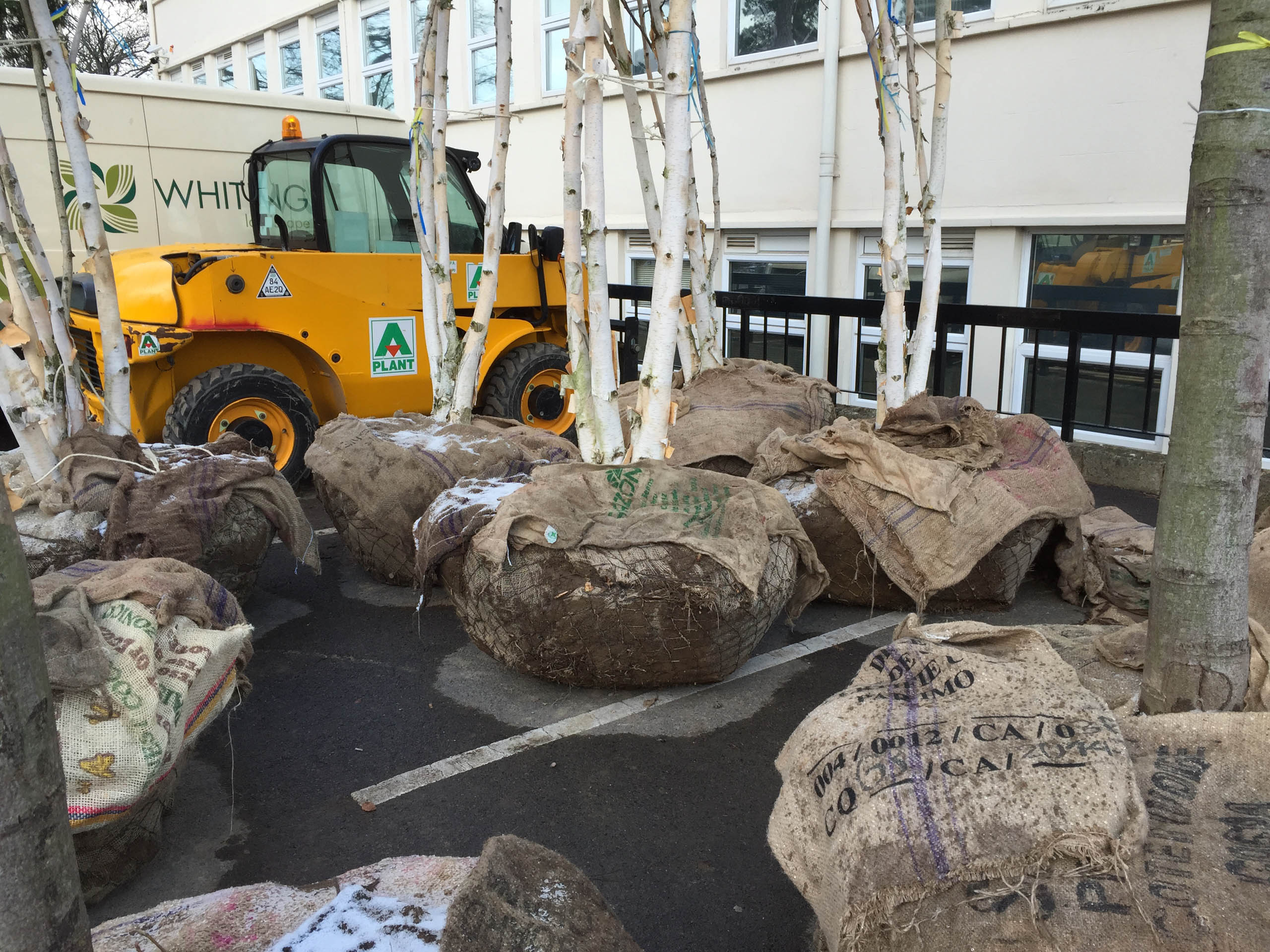  BD Landscape Architects | Landscape Architecture | Urban Design | Space-Making