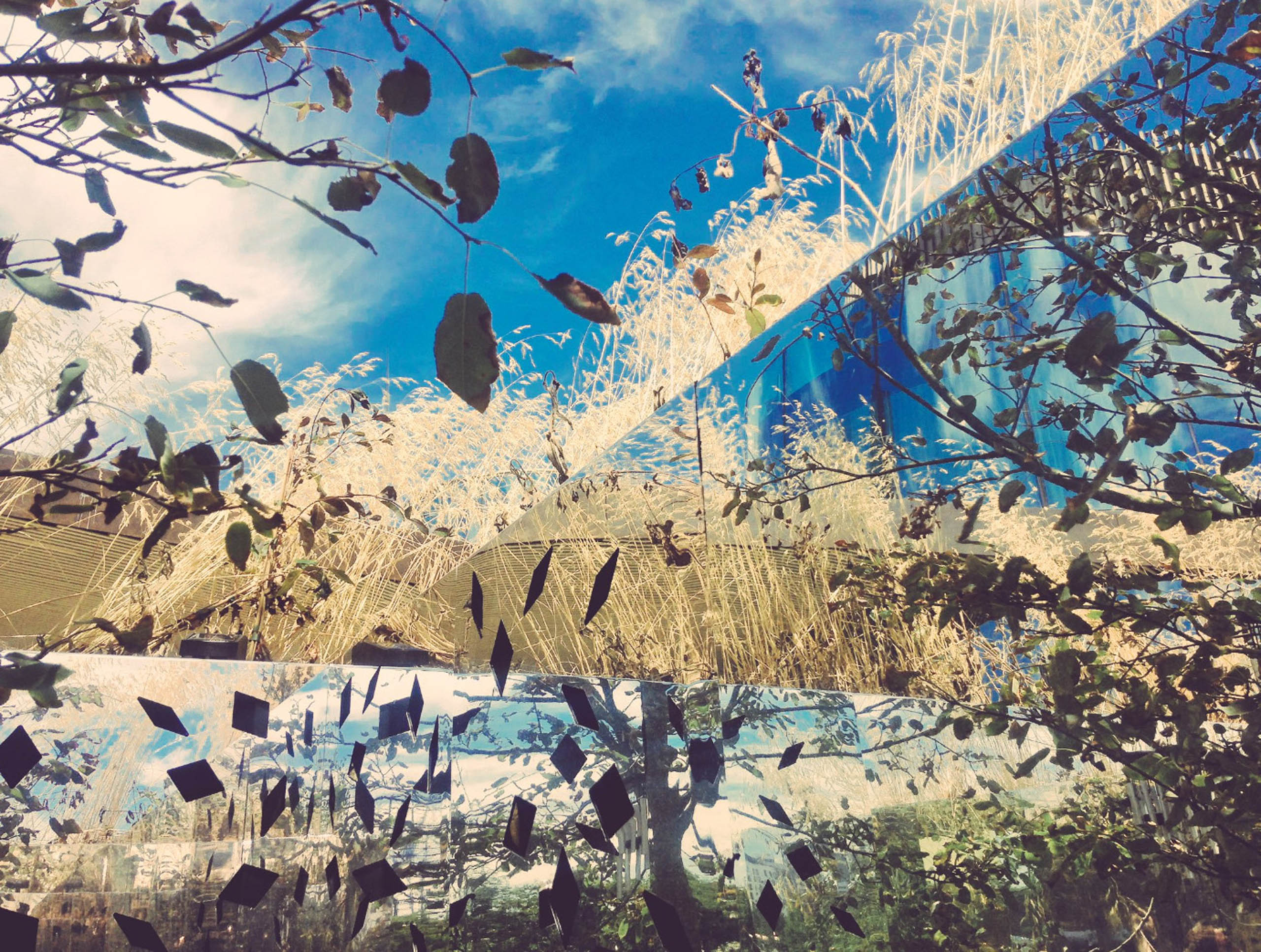  BD Landscape Architects | Landscape Architecture | Urban Design | Space-Making