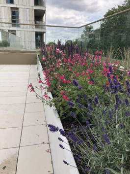  BD Landscape Architects | Landscape Architecture | Urban Design | Space-Making