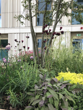  BD Landscape Architects | Landscape Architecture | Urban Design | Space-Making