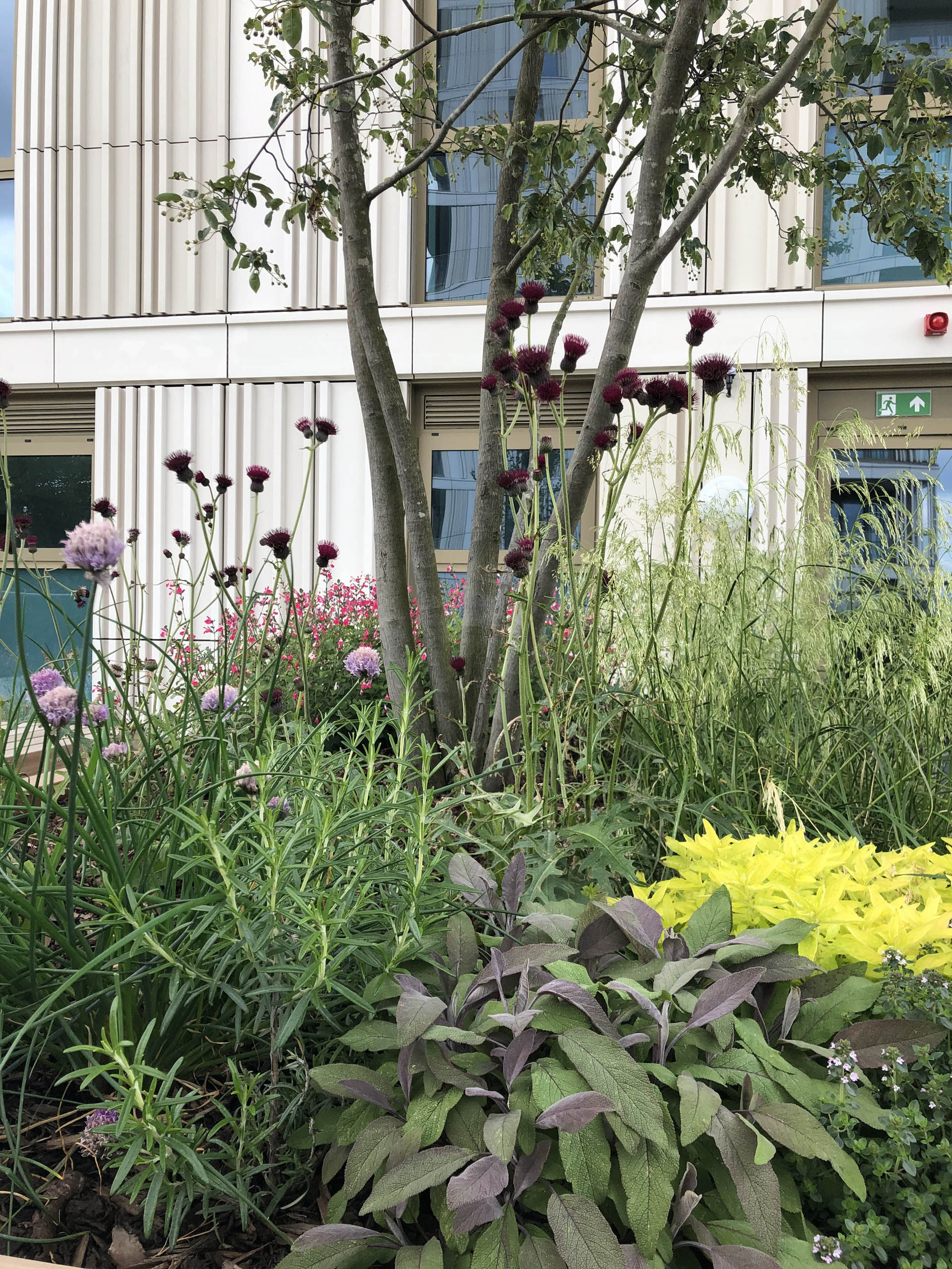  BD Landscape Architects | Landscape Architecture | Urban Design | Space-Making