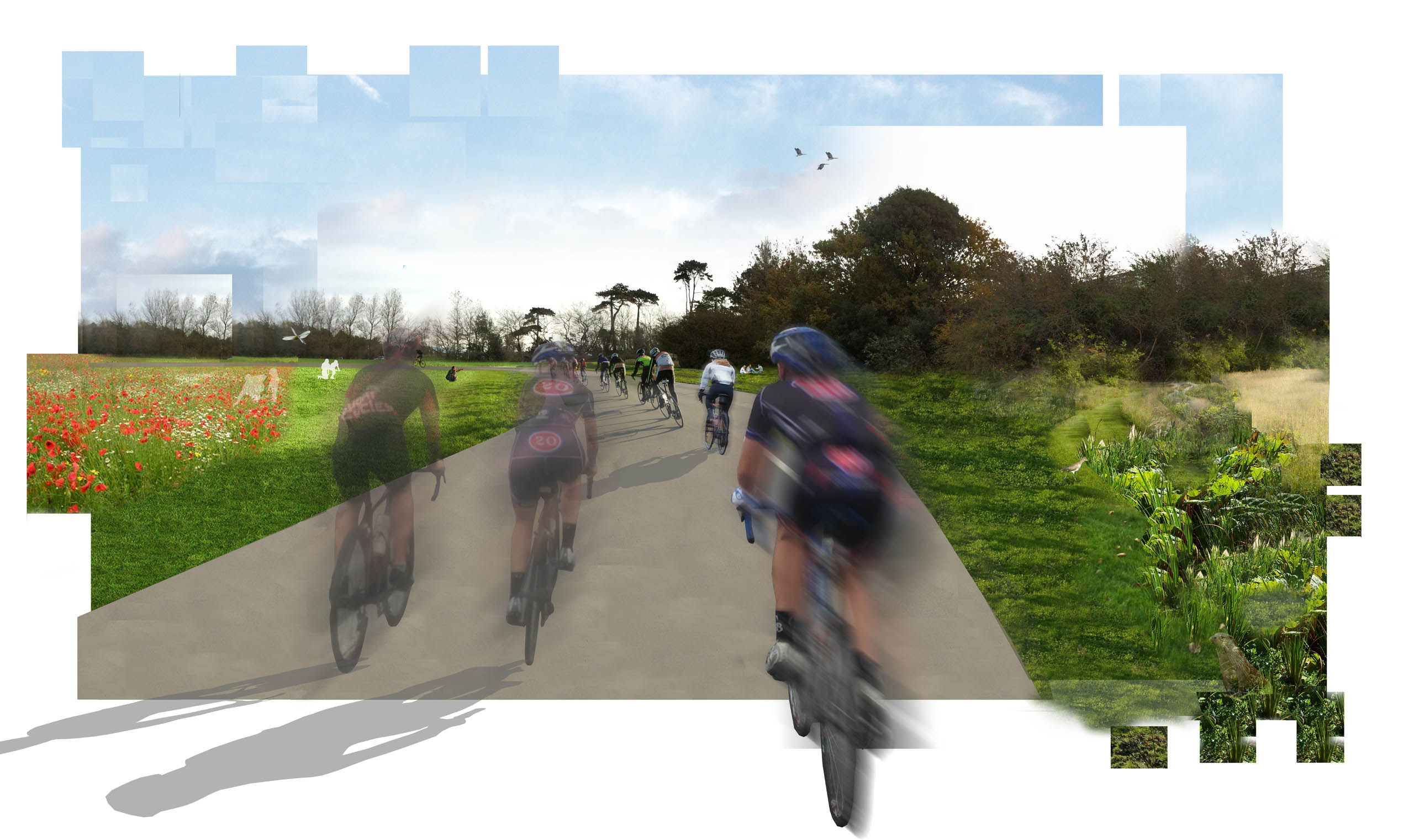 Torbay Velopark BD Landscape Architects