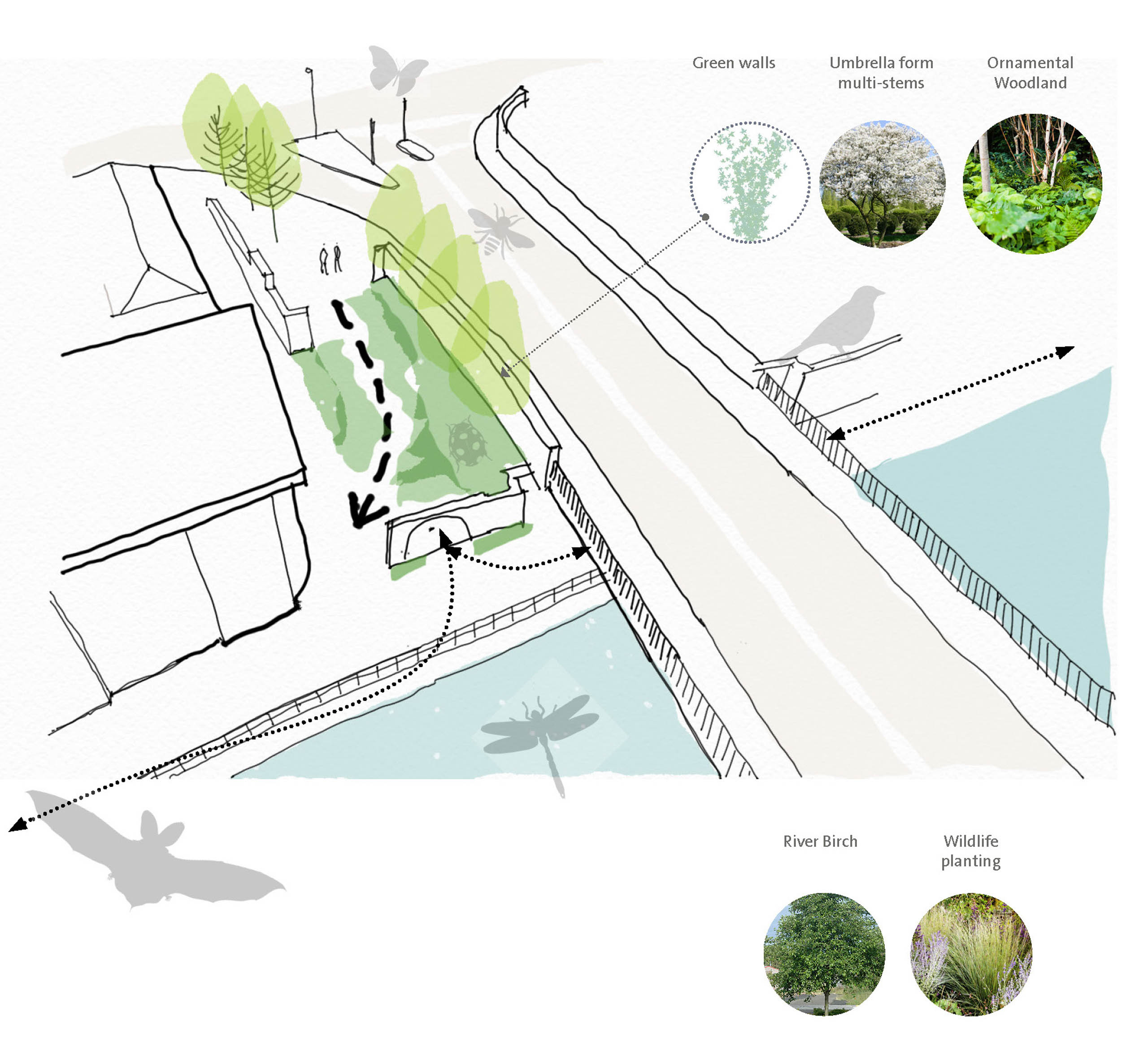 Windsor Bridge Bath Bd Landscape Architects