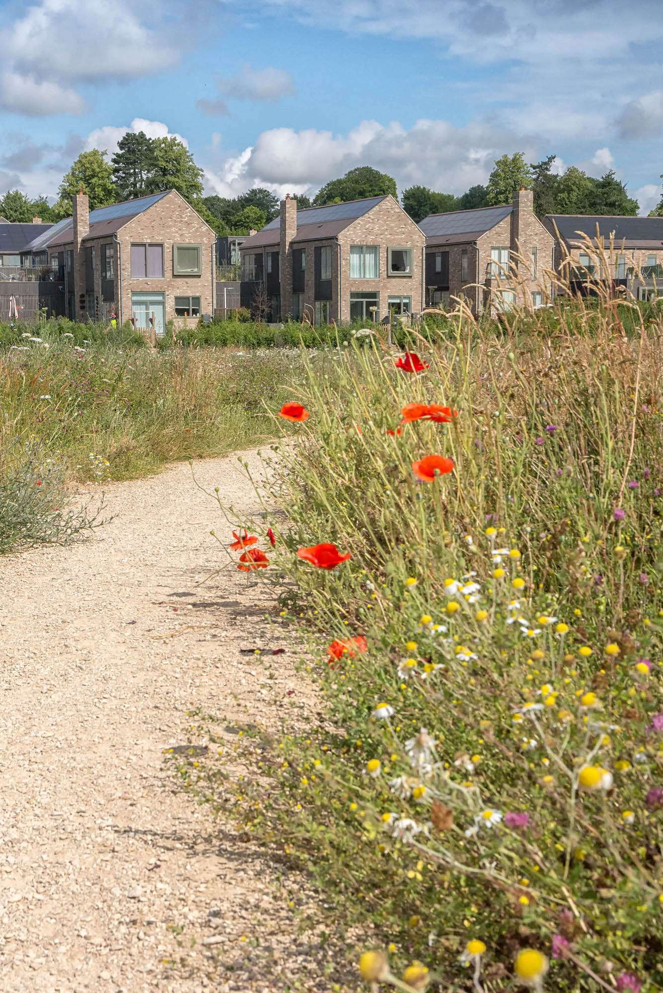  BD Landscape Architects | Landscape Architecture | Urban Design | Space-Making