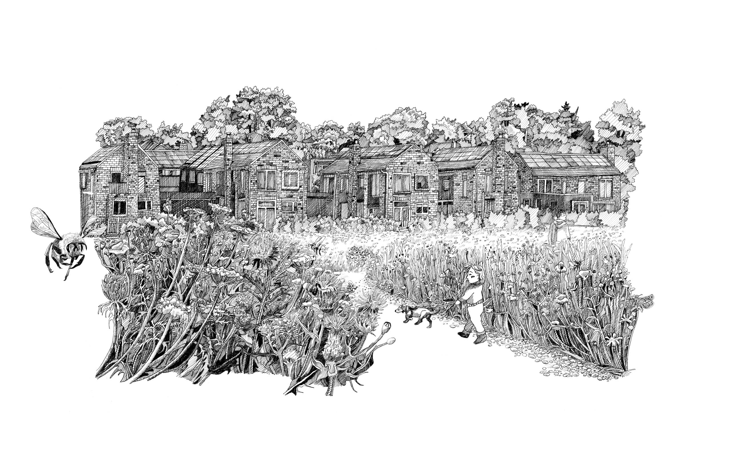  BD Landscape Architects | Landscape Architecture | Urban Design | Space-Making
