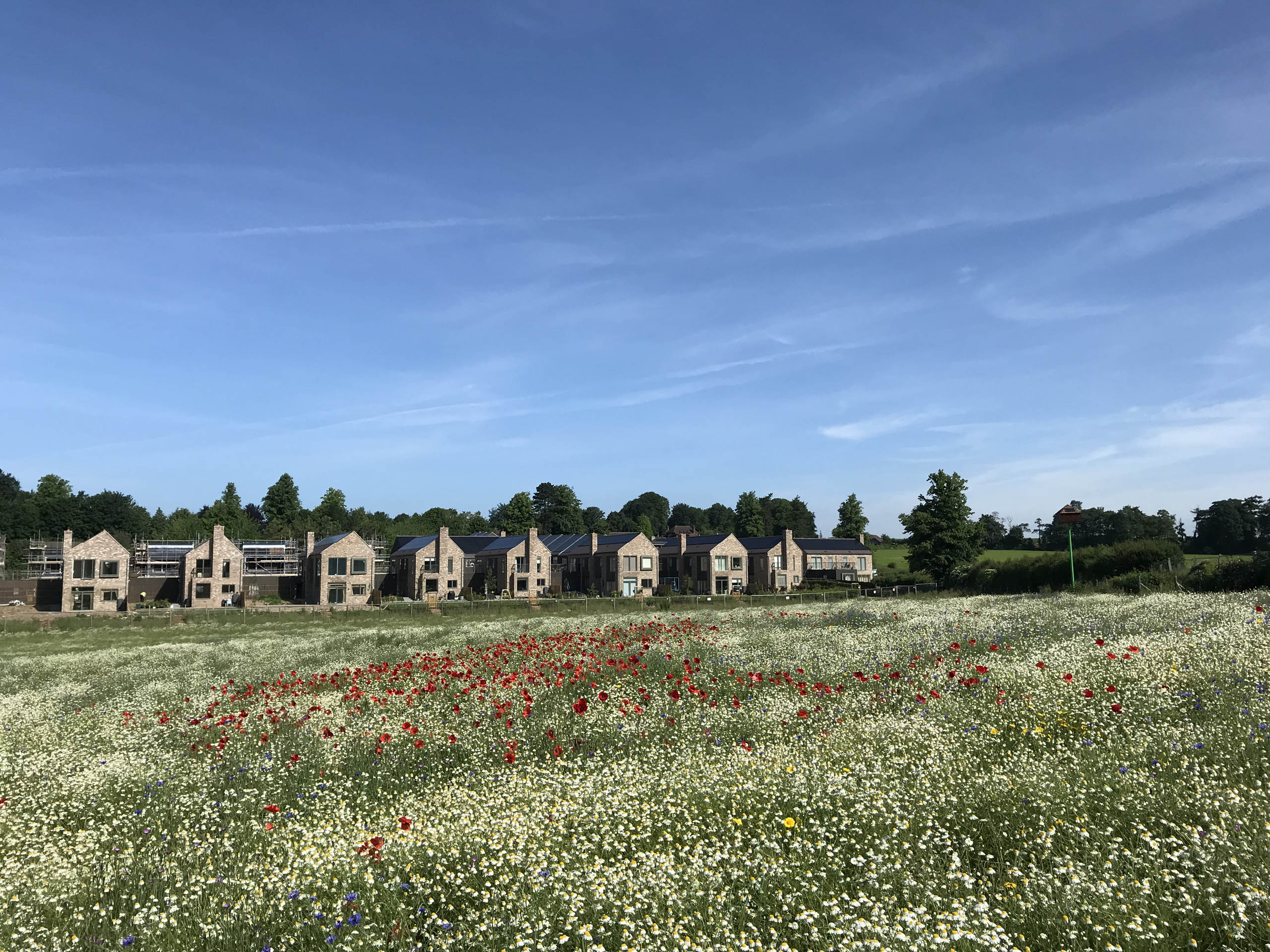  BD Landscape Architects | Landscape Architecture | Urban Design | Space-Making