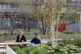 BD Landscape Architects | Landscape Architecture | Urban Design | Space-Making