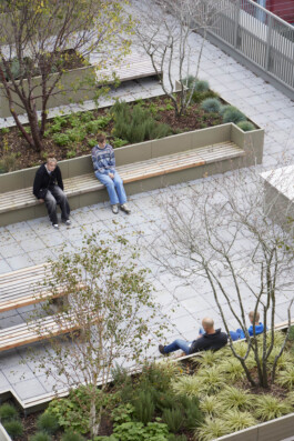 BD Landscape Architects | Landscape Architecture | Urban Design | Space-Making
