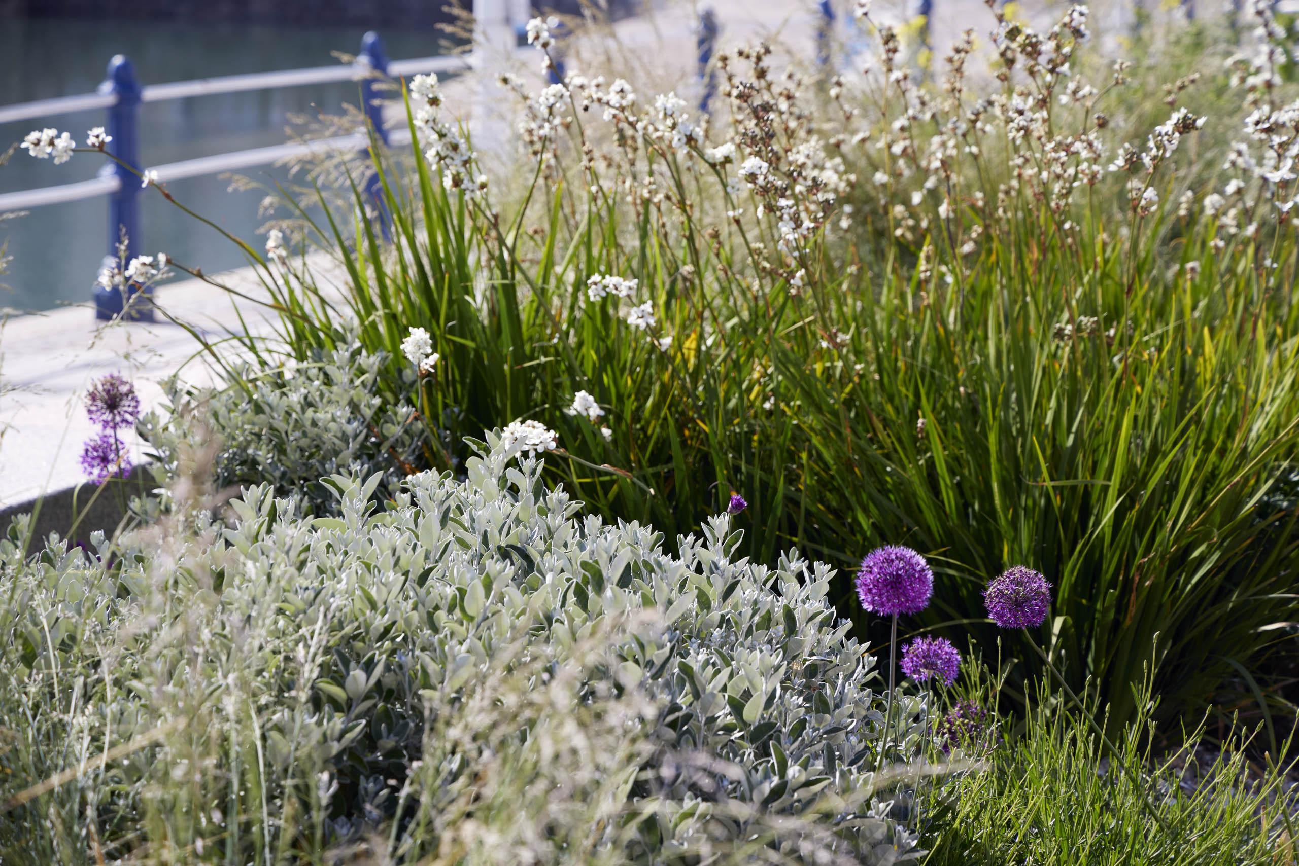 BD Landscape Architects | Landscape Architecture | Urban Design | Space-Making