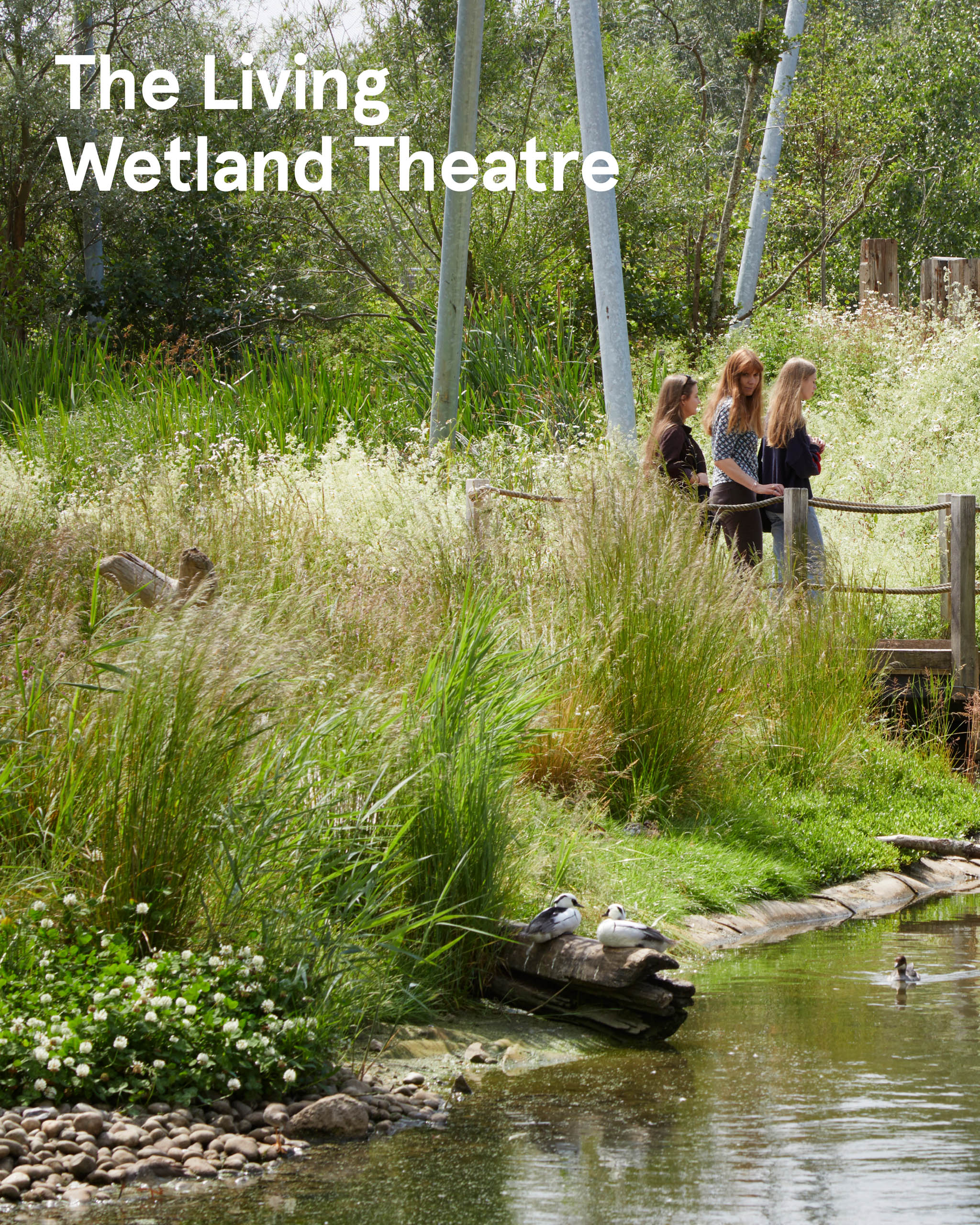BD Landscape Architects | Landscape Architecture | Urban Design | Space-Making