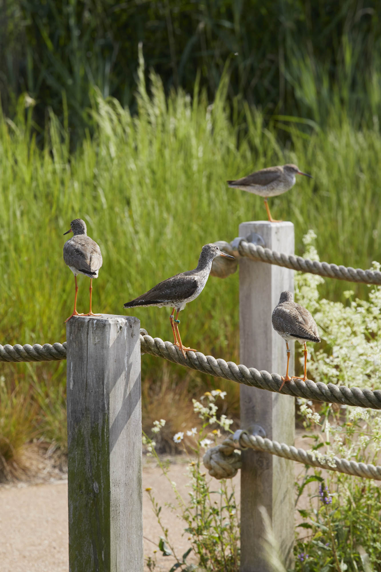 BD Landscape Architects | Landscape Architecture | Urban Design | Space-Making