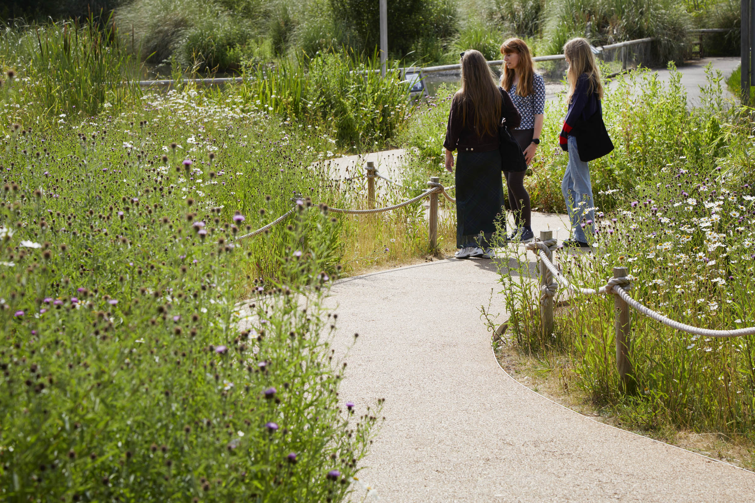 BD Landscape Architects | Landscape Architecture | Urban Design | Space-Making